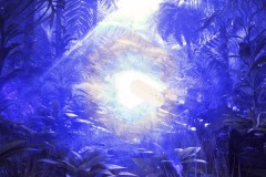 rift-8