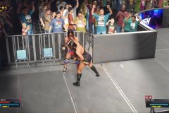 WWE-5