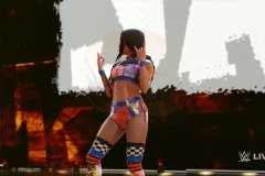 WWE-6