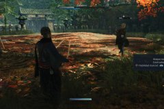Riseoftheronin_Review0145