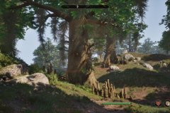 The Elder Scrolls IV: Oblivion Remastered_20250430171652