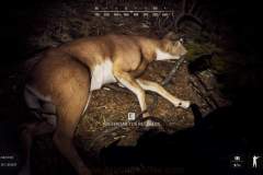 way-of-the-hunter-gallery-156