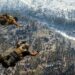 Activision confirma 50,000 cheaters baneados de COD Warzone