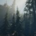 El juego VR, A Walk in the Woods ya está disponible en Steam
