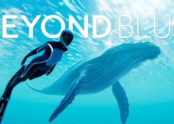 Beyond Blue ya está disponible para PC, Xbox One y PS4