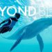 Beyond Blue ya está disponible para PC, Xbox One y PS4