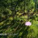 Square Enix revela un nuevo trailer del motor gráfico Luminous