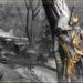 Ubisoft revelaría un nuevo Assassin’s Creed pronto