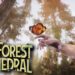 The Forest Cathedral reveló nueva información
