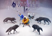 project winter cover