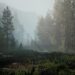 Pacific Drive revela su gameplay