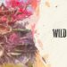 WILD HEARTS presentó la mayor actualización post lanzamiento