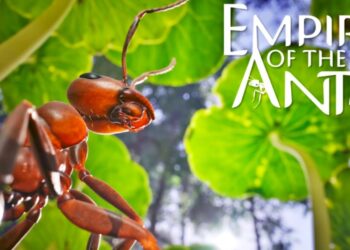 Construí y convertite en el líder de tu colonia en Empire of the Ants