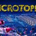 Microtopia llegará en febrero
