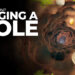 A Game About Digging A Hole ya se lanzó