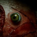 BrokenLore: DON’T WATCH Eye Portada