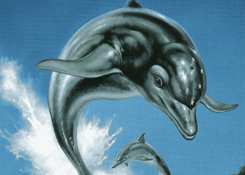 Se anuncian resmasterizaciones y nuevo juego de Ecco the Dolphin