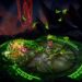 Star Fire Eternal Cycle anunció su lanzamiento en pc