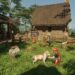 Enshrouded se abre a las profundidades con «Wake of the Water»