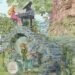 Disfrutá de un homenaje musical único con Zelda & Jazz III