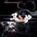Llegó el tráiler oficial de Sword and Fairy 4: Remake