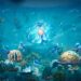 LIFE BELOW: El juego inspirado en biología marina tiene un nuevo video sobre su desarrollo