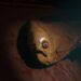Pesca, tripas y terror: Loan Shark llegará a Xbox Series XIS