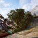 ¡Desempolvá el pod! Tenemos fecha de lanzamiento para Star Wars: Galactic Racer