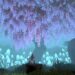Winds of Arcana: Ruination trae una épica aventura a Xbox Game Pass