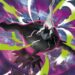 JCC Pokemon lanza a nivel mundial su esperada expansión Megaevolución-Tinieblas Umbrías
