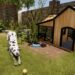 Adoptá perros, gatos y más en el masivo Pets DLC que llegará a House Flipper 2